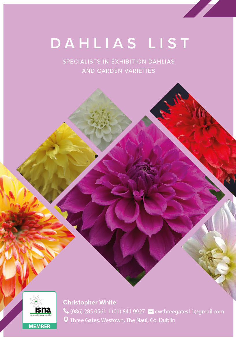 Our New Dahlia catalogue is Available Three Gates Garden Centre and