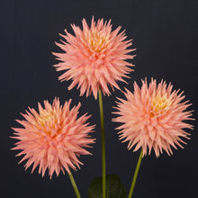 Load image into Gallery viewer, Grenidor Pastelle (Medium Cactus)