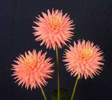 Load image into Gallery viewer, Image of Dahlia Grenidor Pastelle