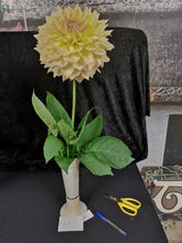 Load image into Gallery viewer, Image of Dahlia Westerton Lilian
