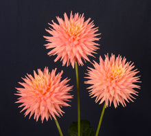 Load image into Gallery viewer, Image of Dahlia Grenidor Pastelle

